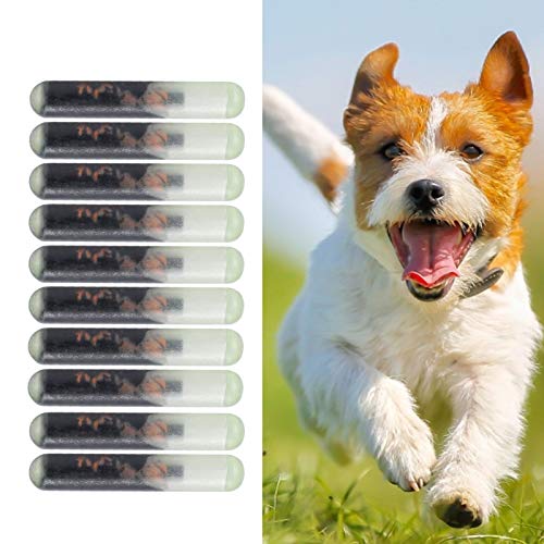 EVTSCAN Hunde-ID-Mikrochip, 10 Stück/Set 2,12 MM Glas-Haustier-Mikrochip Standard-Tierchip-Implantate zur Identifizierung von EVTSCAN