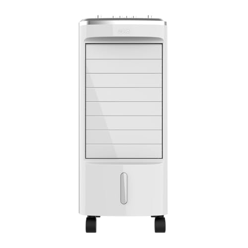 EVVO Klimagerät CLIMA AC650, Leistung: 65 W, Tank 3,5 l, 3 einstellbare Geschwindigkeiten, automatische Oszillation von 70°, multidirektionale Räder, inklusive 2 Kühlakkus von EVVO