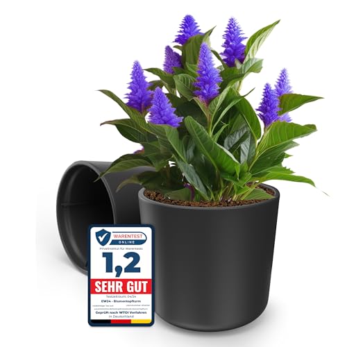 2er-Pack Blumentopf ⌀ 14cm anthrazitfarbene, Pflanzentopf rund hergestellt in der EU aus recycelbarem Kunststoff, UV-beständig und robust - Keine Untersetzer nötig Modernes Design (Anthrazit, ⌀ 14) von EW24