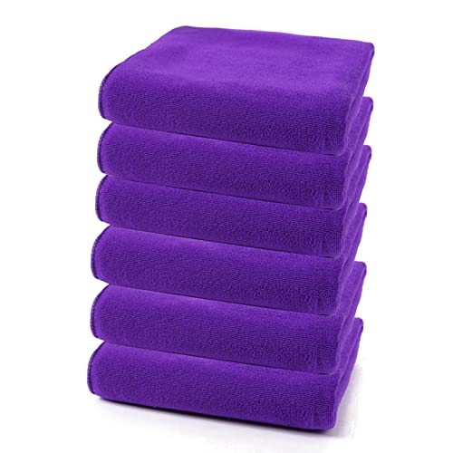 EWANTO 6X Mini Handtuch Gästehandtuch Waschlappen mit Aufhängeschlaufe 30 x 30 cm superweiche Mikrofaser Farbe: Flieder von EWANTO