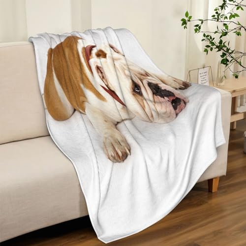 EWFAS kuscheldecke – Sherpa Schafdecke – englische Bulldogge – Comfort Luxuriöse Flauschige Kuscheldecke – weiche Decke für Couch und Bett – 150 x 200 cm von EWFAS