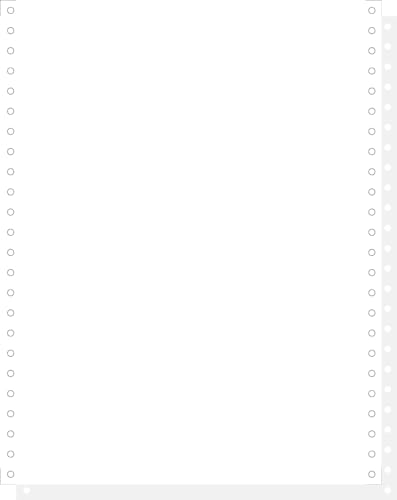 Exacompta 62432E Computerpapier 1000 Blatt selbstdurchschreibend 240mm x 12" 1-lagig, Mikroperforation, 2 Seiten, abnehmbare Caroll-Bänder Weiß-Grau von Exacompta