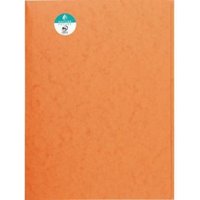 Jurismappe Premium din A4 Colorspankarton orange Jurismappe Premium din A4 Colorspankarton orange von EXACOMPTA
