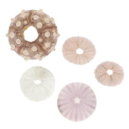 EXAOMBLE 5stücke Natürliche Seeigel Muscheln Als Für Luftpflanzen Dekorative Blumentöpfe Für Aquarien Wohn Und Büroräume Sichere Verwendung Für Fische Und Pflanzen EXAOMBLE 5stücke Natürliche Seeigel Muscheln Als Für Luftpflanzen Dekorative Blumentöpfe Für Aquarien Wohn Und Büroräume Sichere Verwendung Für Fische Und Pflanzen von EXAOMBLE