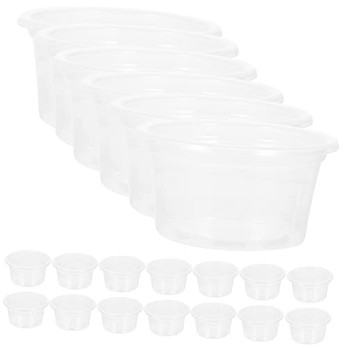 EXAOMBLE 20Stücke Transparente Reptilienfutter und Wasserbecher für Eidechsen Geckos Schlangen und Andere Kleine Reptilien Rutschfestes Design für Terrarien von EXAOMBLE