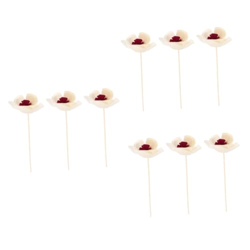 EXAOMBLE 9stücke Diffuser Stäbchen Mit Trockenblumen Aromatherapie Blumen Für Raumduft Dekoration Und Diffusor-Flasche Für Wohnzimmer Schlafzimmer Und Küche von EXAOMBLE