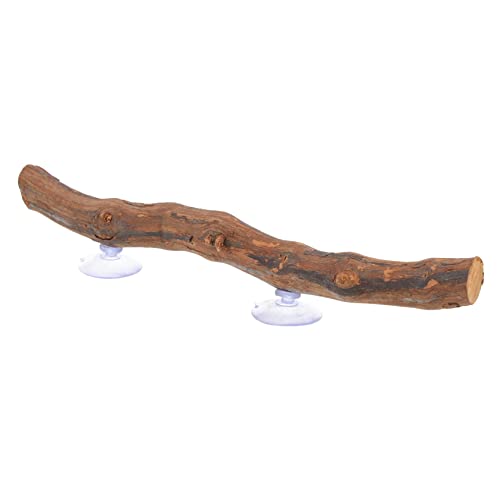 EXAOMBLE Reptilien Kletterstruktur Aus Natürlichem Holz Lizard Rack Für Terrarium Für Bartagamen Eidechsen Und Geckos Fördert Aktivität Und Geschicklichkeit Platzsparendes Design von EXAOMBLE