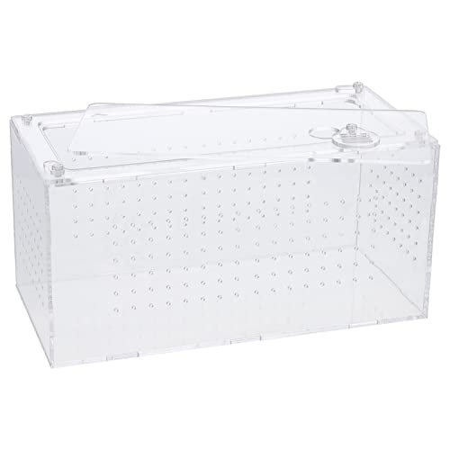 EXAOMBLE Transparente Reptilienbox aus Multifunktionale Halterung für Schlangen Spinnen Geckos und Andere Haustiere mit Belüftungsöffnungen Großes Terrarium für Optimale Haltung und EXAOMBLE Transparente Reptilienbox aus Multifunktionale Halterung für Schlangen Spinnen Geckos und Andere Haustiere mit Belüftungsöffnungen Großes Terrarium für Optimale Haltung und von EXAOMBLE