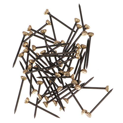 60pcs Bildernagel Gold mit Aufbewahrungsbox Kopfstifte Bild Nägel Schwarze Nägel Messingkopf Legierung Bild Hängen Nägel Bilderbügel für Bild Foto von EXCEART