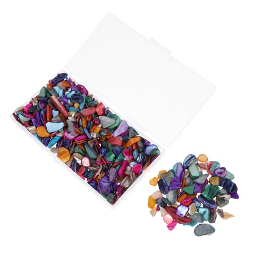 EXCEART Mosaik-muschelsplitter Unregelmäßige Muschelfragmente Zerkleinerte Dekorative Muscheln Für Vasen Stifthalter Kerzenhalter von EXCEART