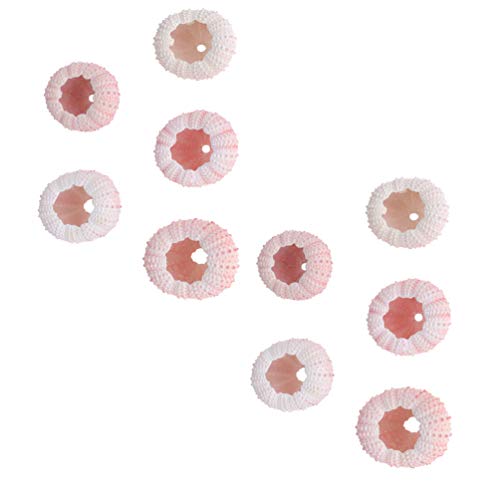 EXCEART 10 Stücke Aquarium Seeigel Gehäuse Natürliche Muscheln Mittelmeer Deko Vase Filler Streudeko Nautische Dekoration für Micro Landschaft Deko DIY Basteln Handwerk Projekte von EXCEART