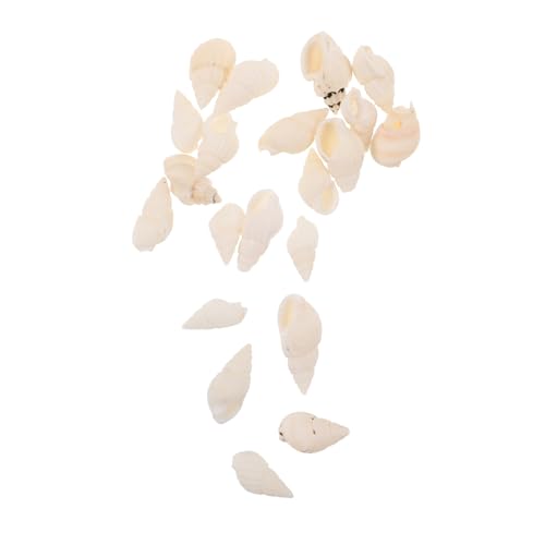 EXCEART 20 Stück Kerzen Tropfende Dekoration Bastelbedarf Für Muscheln Mini-Muschel-Ornamente Muschelverzierung DIY Muschelornamente Muscheln Selber Basteln Weißer Reisschnecken EXCEART 20 Stück Kerzen Tropfende Dekoration Bastelbedarf Für Muscheln Mini-Muschel-Ornamente Muschelverzierung DIY Muschelornamente Muscheln Selber Basteln Weißer Reisschnecken von EXCEART