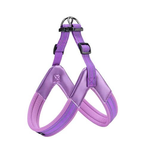 EXCELLENT ELITE SPANKER No Pull Hundegeschirr Step-in einstellbare reflektierende Weste weich gepolstert leicht Haustier Brustgurt mit Leine Clips für kleine mittlere große Hunde(M-PUL) von EXCELLENT ELITE SPANKER