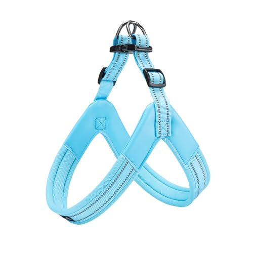 EXCELLENT ELITE SPANKER No Pull Hundegeschirr Step-in einstellbare reflektierende Weste weich gepolstert leicht Haustier Brustgurt mit Leine Clips für kleine mittlere große Hunde(S-LBLU) von EXCELLENT ELITE SPANKER