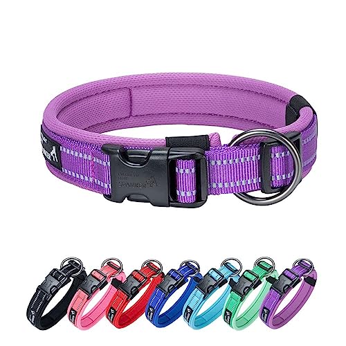 EXCELLENT ELITE SPANKER Reflektierendes klassisches weiches gepolstertes atmungsaktives Nylon einstellbares Haustierhalsband mit Schnellverschluss für kleine mittlere große Hunde Training(PUL-M EXCELLENT ELITE SPANKER Reflektierendes klassisches weiches gepolstertes atmungsaktives Nylon einstellbares Haustierhalsband mit Schnellverschluss für kleine mittlere große Hunde Training(PUL-M von EXCELLENT ELITE SPANKER