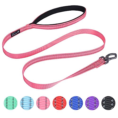 EXCELLENT ELITE SPANKER Starke haltbare reflektierende Hund Gassi gehen Leine Traktion Seil 4 Meter lang 3/4 "breit mit bequemen gepolsterten Griff für kleine Hunde(PIK) von EXCELLENT ELITE SPANKER