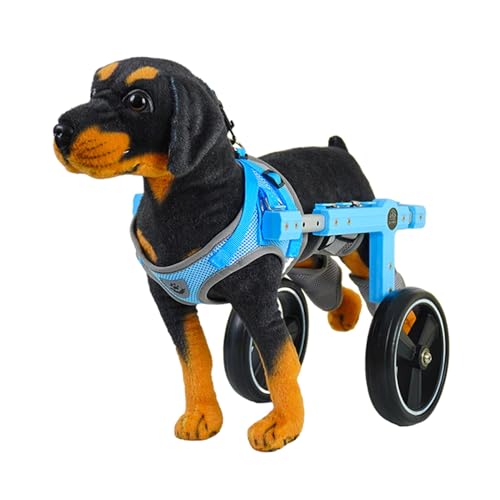 EXCLURA Hunderollstuhl Mobilitätshilfe für Kleine Hunde, 2-rädriger Fahrradanhänger für Hunde/Katzen mit Hinterbeinen, Leichter Haustierwagen für Shih Tzu, Gehhilfe für Behinderte Haustiere(Size M) von EXCLURA