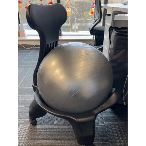 EXCLURA Sitzball Balance-Ball-Stühle fürs Büro mit Rückenlehne, Rollender Gymnastikball-Sitz für das Rumpftraining, Haltungskorrigierender Computerstuhl für Yoga Bei der Arbeit(B) von EXCLURA