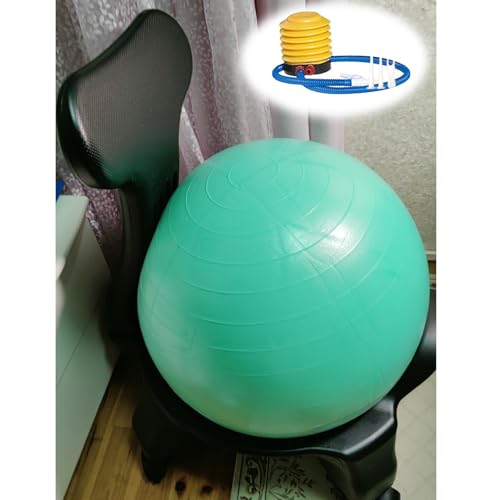 EXCLURA Sitzball Rollbarer Gymnastikballstuhl mit Pumpe, Ergonomischer Yogaball-Bürostuhl für Büroschwangerschaft, Schreibtischstuhl zur Haltungsverbesserung/Rumpftraining(B) von EXCLURA