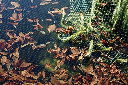 Teichnetz Laubschutznetz 4 x 10 m + 50 Befestigungsanker auch nutzbar als Reihernetz Silonetz Laubnetz Vogelschutznetz Blätter Schutz Garten-teich Gewässer See Becken von EXCOLO