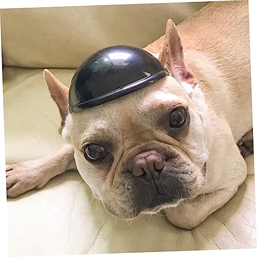EXHUMKY Haustierhelm mit Weicher Polsterung Stoßdämpfender Schutzhelm für Hunde Verstellbar Langlebiges Material Sicherer Kopfschutz für Kleine und Große Hunde Modisches Haustierzubehör EXHUMKY Haustierhelm mit Weicher Polsterung Stoßdämpfender Schutzhelm für Hunde Verstellbar Langlebiges Material Sicherer Kopfschutz für Kleine und Große Hunde Modisches Haustierzubehör von EXHUMKY