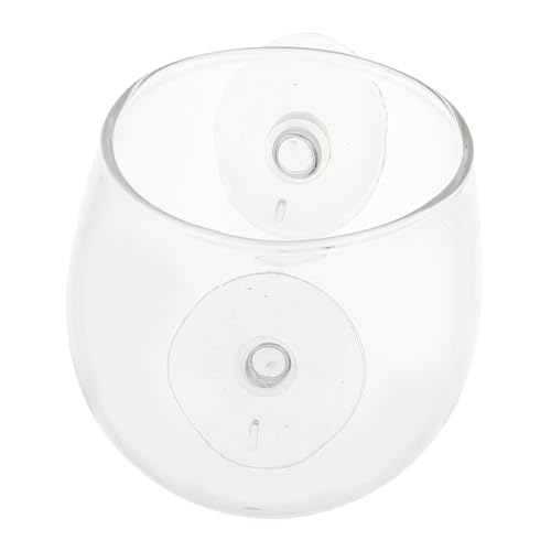 EXHUMKY Reptilien Futternapf mit Saugnapf Transparente Futter Wasserschale für Echsen und Chamäleons aus Langlebigem Glas Ausbruchssicher und Praktisch für Reptilienpflege EXHUMKY Reptilien Futternapf mit Saugnapf Transparente Futter Wasserschale für Echsen und Chamäleons aus Langlebigem Glas Ausbruchssicher und Praktisch für Reptilienpflege von EXHUMKY