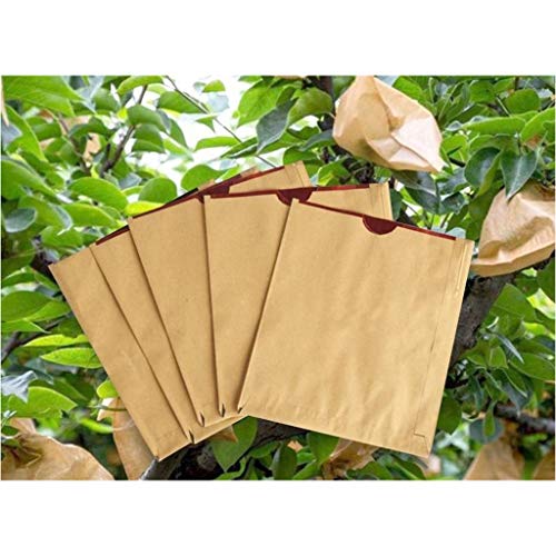 EXOTUF 100 Stück doppellagige, wasserdichte Obstschutzbeutel – Insekten- und Vogelschutzbeutel, Birne, Pfirsich – 15 x 18 cm(Red Inside) von EXOTUF