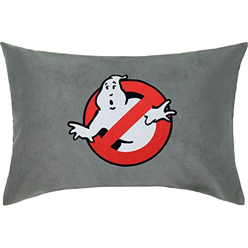 EXPRESS-STICKEREI Ghostbuster Kissen mit Füllung | Geisterjäger Dekokissen gefüllt Zierkissen Couch-/Sofakissen groß | Geist Motiv Polsterüberzug Bestickt Sporttasche | 40x60cm | grau von EXPRESS-STICKEREI