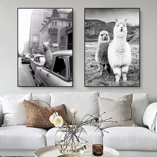 EXQUILEG 2er Poster Set, Schwarz und weiß Tier Bilder Set, Alpaka Leinwandbilder Wohnzimmer Deko, Wanddeko Ohne Bilderrahmen (40 x 50 cm) von EXQUILEG