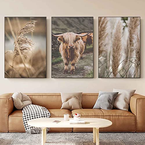 EXQUILEG 3er Premium Poster Set Boho Beige Natur Pampasgras Bilder Hochland Kuh Leinwand Malerei Poster Nordisches Wohnkultur Ohne Rahmen (A,50 * 70cm) von EXQUILEG