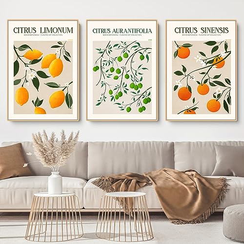 EXQUILEG 3er Stilvolles Citrus Bilder Set Citrus Poster Kunstdrucke Moderne Wandbilder Vintage Wanddeko Ohne Rahmen Premium Für Wohnzimmer Schlafzimmer Esszimmer (50 * 70cm) von EXQUILEG