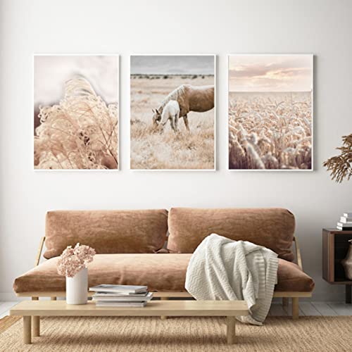 EXQUILEG Premium 3er Poster Set, Bilder Wohnzimmer Beige Pampas Modern Schlafzimmer Bild Set für Ihre Wand - Ohne Rahmen - Bilder Set (A,50x70cm) von EXQUILEG