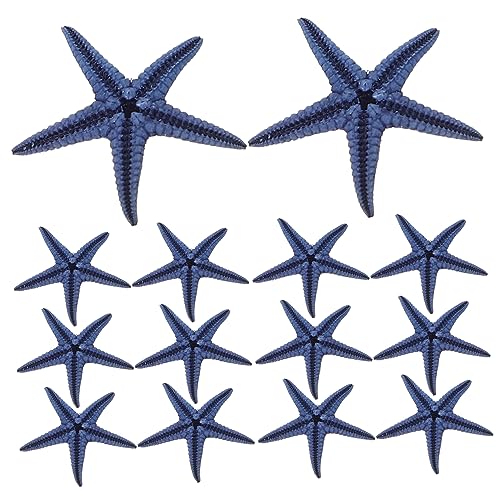 EXQUIMEUBLE 100stücke Naturliche Stern Dekorationen Sea Star Wunschmodell Flaschen Dekorationen Aquarium Stern Schmucke von EXQUIMEUBLE