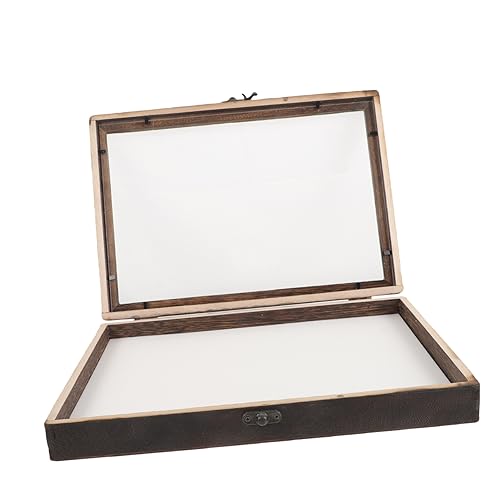 EXQUIMEUBLE 1Satz Insektenvitrine aus Holz Transparente Aufbewahrungsbox für Insektenproben zur Präsentation von Schmetterlingen und Trockenblumen mit Pinnwand Zufälliger von EXQUIMEUBLE