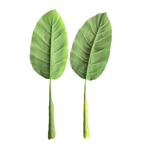 EXQUIMEUBLE 4 Stück Teiliges Künstliche Strelitzia Langlebige Plastik Dekoblätter in und Dunkelgrün Realistische Pflanzenimitation für Büro Wohnzimmer Garten und Hochzeitsdeko EXQUIMEUBLE 4 Stück Teiliges Künstliche Strelitzia Langlebige Plastik Dekoblätter in und Dunkelgrün Realistische Pflanzenimitation für Büro Wohnzimmer Garten und Hochzeitsdeko von EXQUIMEUBLE