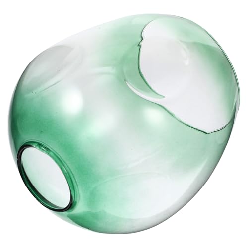 EXQUIMEUBLE Glas Lampenschirm Ovaler Pendant Light Shade Modernes Ersatzglas für Pendelleuchte Hochwertiges Transparentes Lampenglas Dekorativer Lampenschirm für Wohnzimmer Schlafzimmer Büro von EXQUIMEUBLE