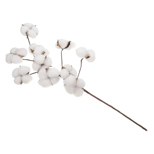 EXQUIMEUBLE Köpfe Trockenbaumwolle Stängel Künstliche Blume Dekoration für Hochzeiten und Zuhause DIY Füllung für Vasen und Kränze Handgemachte Baumwollzweige Anpassbar und Flexibel EXQUIMEUBLE Köpfe Trockenbaumwolle Stängel Künstliche Blume Dekoration für Hochzeiten und Zuhause DIY Füllung für Vasen und Kränze Handgemachte Baumwollzweige Anpassbar und Flexibel von EXQUIMEUBLE