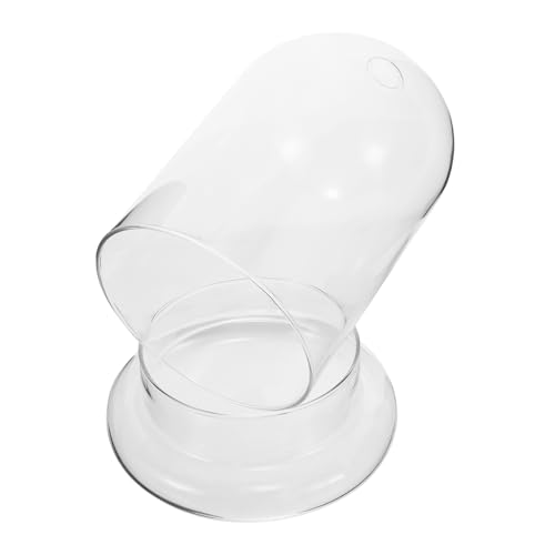 EXQUIMEUBLE Terrarium Vase Groß mit Klarem Glasglocke Design Langlebiger Pflanzhalter für Moos und Micro Landschaft Transparentes für Zimmer und Schreibtisch Stilvolles DIY Ökosystem Zubehör von EXQUIMEUBLE