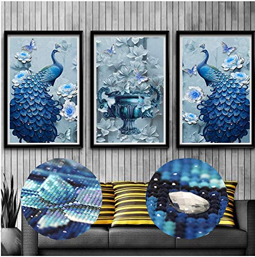 EXQULEG 5D Diamond Painting Set, Crystal Strass Stickerei Bilder Kunst Handwerk für Home Wall Decor 30 * 30cm (E) von EXQULEG