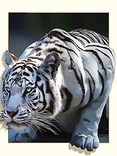 EXQULEG Diamond Painting Bilder, 5D Diamant Painting Set, Full Drill DIY Diamant Malerei Kits Arts Craft für Haus, Wand Und Eingang Dekoration (30x40cm,Tiger) von EXQULEG