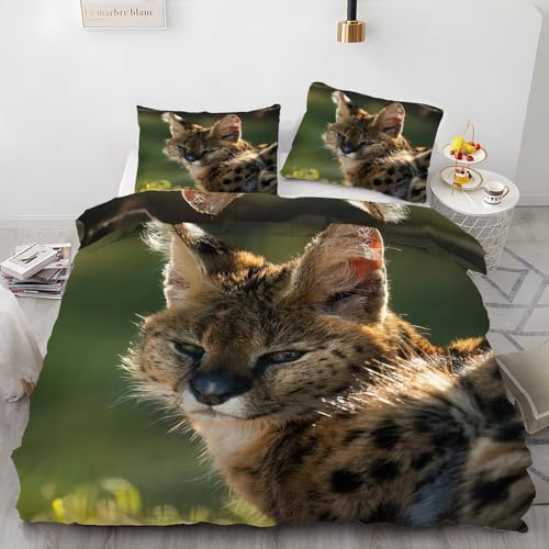 EXSANLIEAY Serval Katze BettwäSche 135x200 Niedlich BettwäSche-Sets füR Jeden, Bettbezug Wende Microfaser mit Reißverschluss - 1 Bettbezügen & 2 Kissenbezügen 80x80, Weich & Bügelfrei EXSANLIEAY Serval Katze BettwäSche 135x200 Niedlich BettwäSche-Sets füR Jeden, Bettbezug Wende Microfaser mit Reißverschluss - 1 Bettbezügen & 2 Kissenbezügen 80x80, Weich & Bügelfrei von EXSANLIEAY