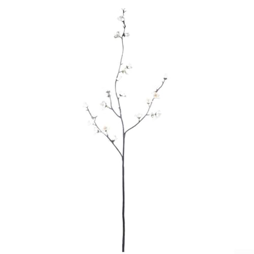 EXTRWORY 6 Stück künstliche Pflaumenblütenzweige realistische Seidenblumen natürlich geschwungenes Design 79 cm für Zuhause Büro Vase DIY Arrangement (weiß) von EXTRWORY