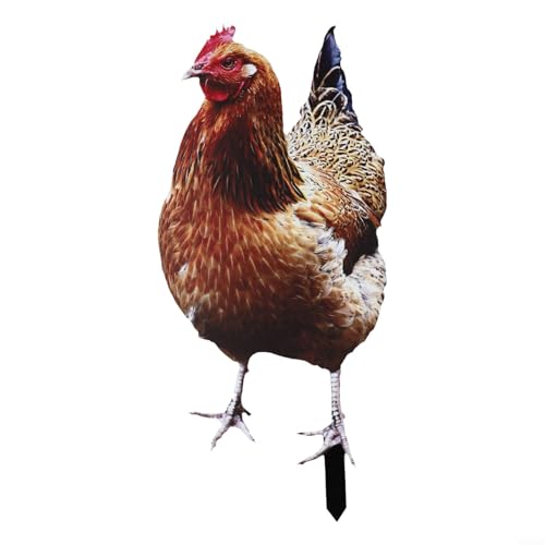 EXTRWORY Huhn-Gartendekoration, Metallschild für den Außenbereich, Rasen, Ornament, charmante Tierkunst, leicht zu reinigen, ca. 30,5 cm, für Hinterhof, Terrasse, Versammlungen (B) von EXTRWORY