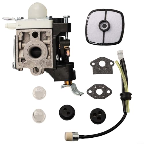 Ersatzvergaser für Echo PB251 ES255 PB255LN PB265L Laubbläser, einfache Einrichtung von EXTRWORY