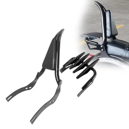 EYNLDS Sissy Bar Mit Gepäckträger-Rückenlehne Sissybar-Rückenlehne Für Indian Scout Bobber/Rogue 2018 2019 2020 2021 2022 2023 2024 von EYNLDS