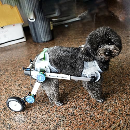 EYRMQWJPC Elldog im Rollstuhl Hunderollstuhl, verstellbar, faltbar, 2 Räder, Aluminium, mehrere Größen, Pink & Weiß(White,Size S) von EYRMQWJPC