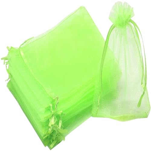 EYRMQWJPC Obstschutzbeutel, Obstschutzbeutel, Kordelzug, Netz, 100 Stück, Mehrfarbig, mehrere Größen(Light Green,10x15cm (100Pcs)) von EYRMQWJPC