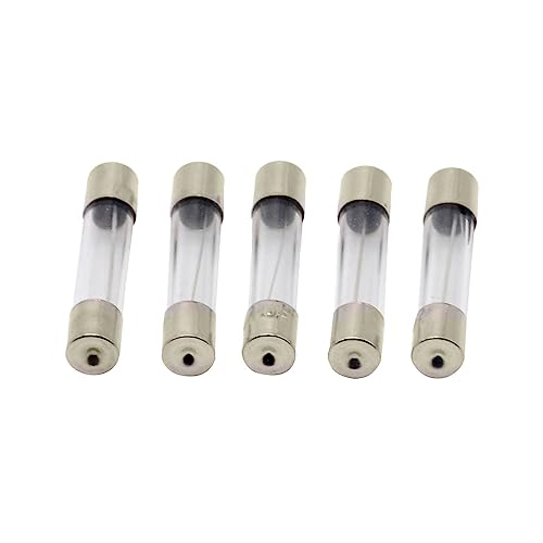 Glassicherungen Schnelles Blasrohr 5*20mm 6*30mm Glas 250V 0.5-30A AMP(6x30mm100pcs,6 Years) von EYRMQWJPC