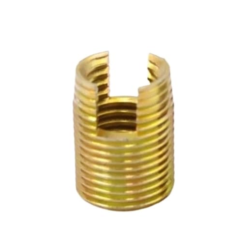 Reduzierhülsenmutter, Selbstschneidende Gewindeeinsätze Edelstahl M2 bis M16 Silber 2er-Pack(Galvanized,M8xM12x15mm) von EYRMQWJPC