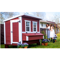Großer Hühnerstall EZ Chicken Home 2,85m² Rot hergestellt in EU Großer Hühnerstall EZ Chicken Home 2,85m² Rot hergestellt in EU von EZ Chicken Home